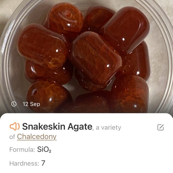 Genuine Burnt Orange Snakeskin Agate Bib Necklace, Large Gemstone & Copper Links - Picture 12 of 13